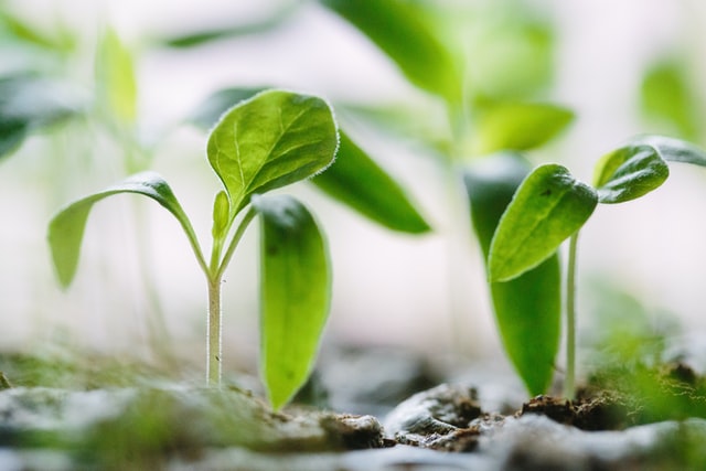 AGIMENDO.invest | EU-Taxonomie | IBsolution