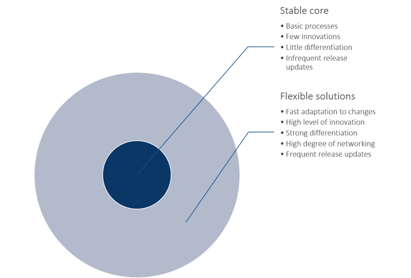 Dual-track SAP service strategy