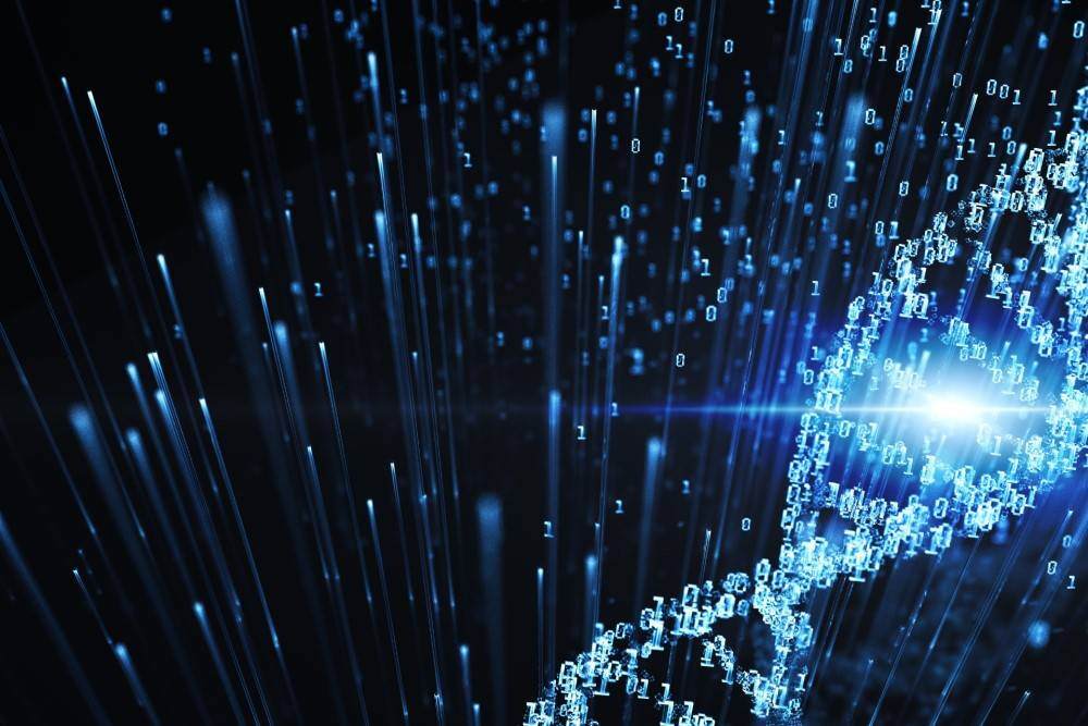 Survey CDO Insights 2025 | IBsolution