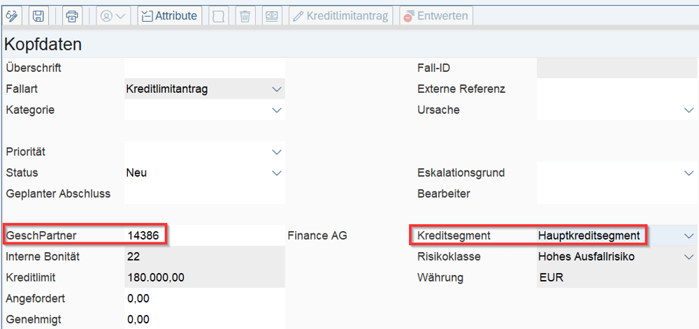SAP Credit Management Kreditstammdaten IBsolution
