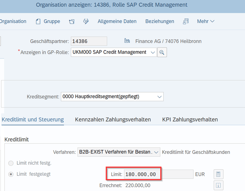 SAP Credit Management Pruefung Kreditlimit IBsolution