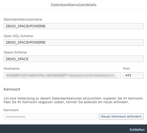 SAP DWC Datenbank-Benutzerdetails