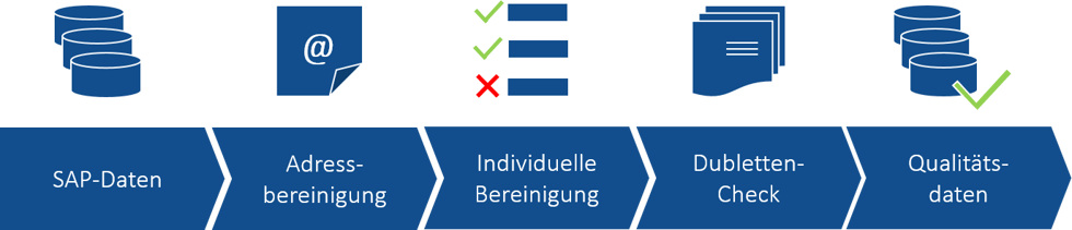 SAP Data Services | IBsolution
