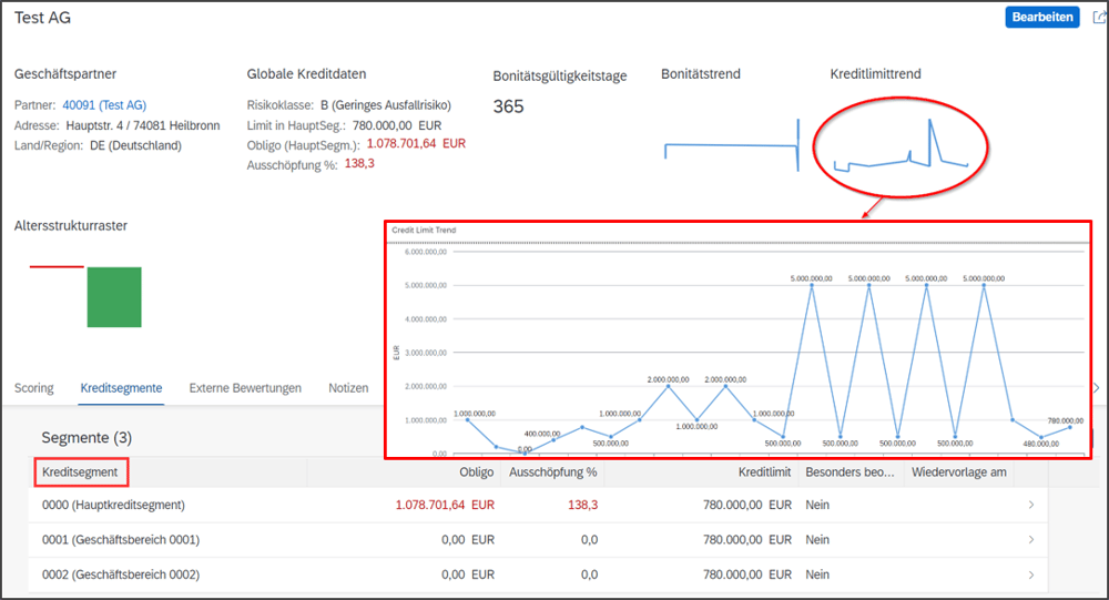 SAP_Credit_Management_Kreditsegmente