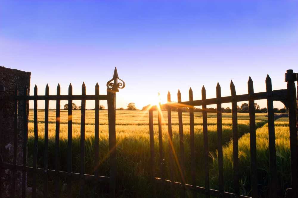 Changes in authorizations with SAP S/4HANA | IBsolution