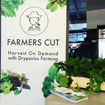 Farmers Cut IBsolution