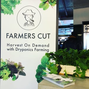 &ever | Farmers Cut | IBsolution