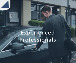 Experienced Professionals