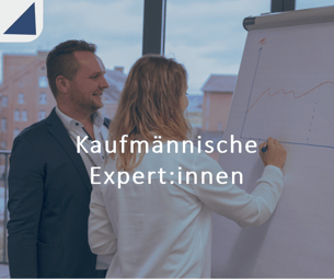 Kaufmännische Experten-1