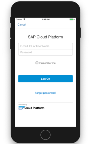 Login SAP Cloud Platform IBsolution