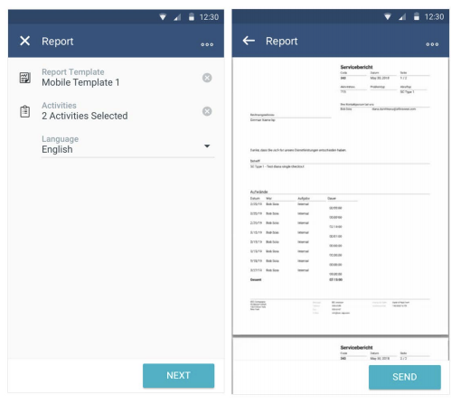 Offline-Report SAP FSM Release 2005 IBsolution