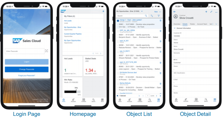 Sales_and_Service_Cloud_Mobile_App_IBsolution