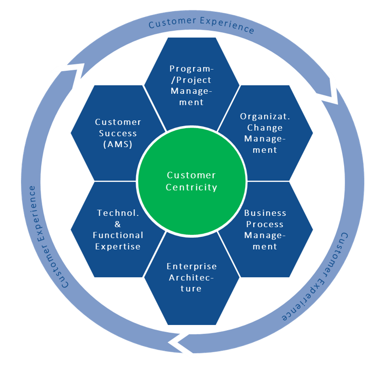 Ibsolution Transformation Assessment for SAP S/4HANA | IBsolution
