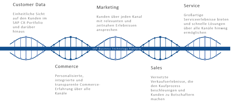 SAP CX Portfolio IBsolution-1