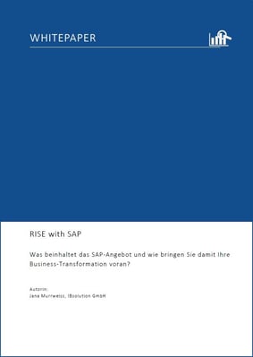 Whitepaper RISE with SAP | IBsolution