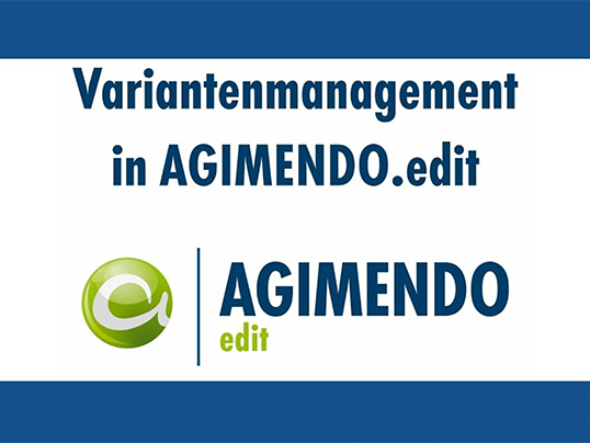 Webinar: Variantenmanagement in AGIMENDO.edit