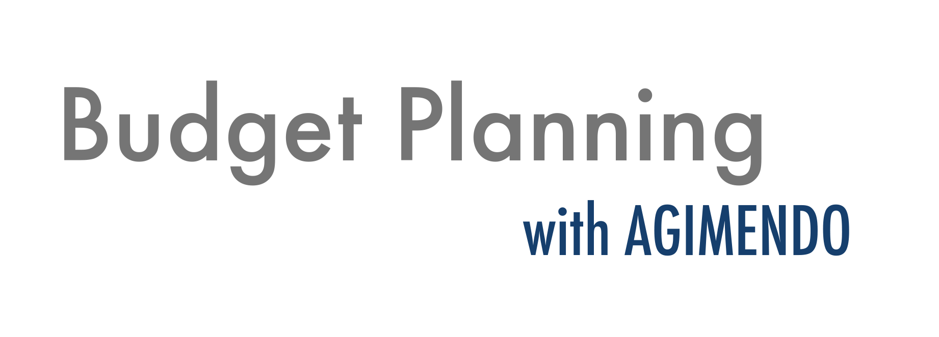 AGIMENDO.lösungen_budget-planning