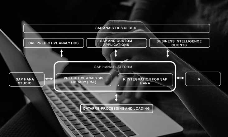 BI-home-predictive-analytics