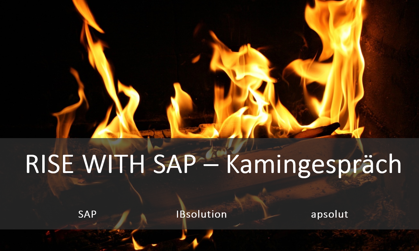 IBsolution RISE with SAP Kamingespräch