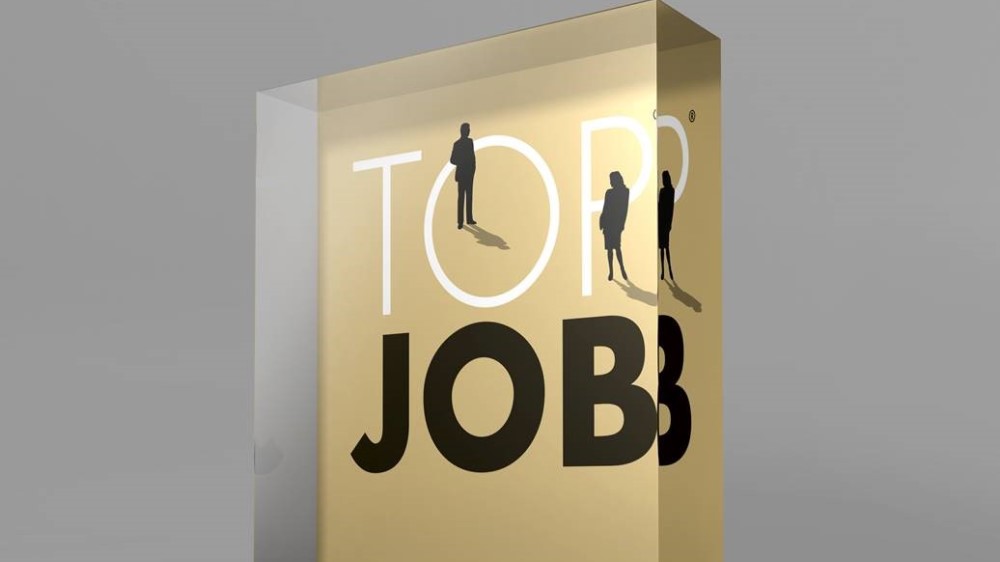 IBsolution Top Job 2017