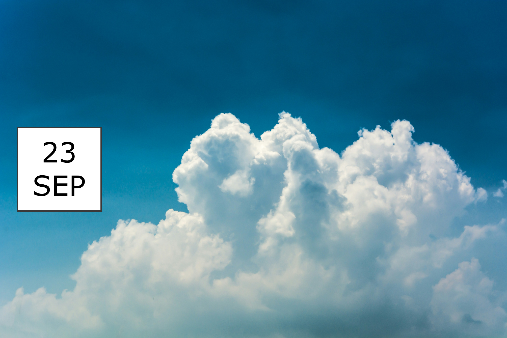 IBsolution Webinar SAP