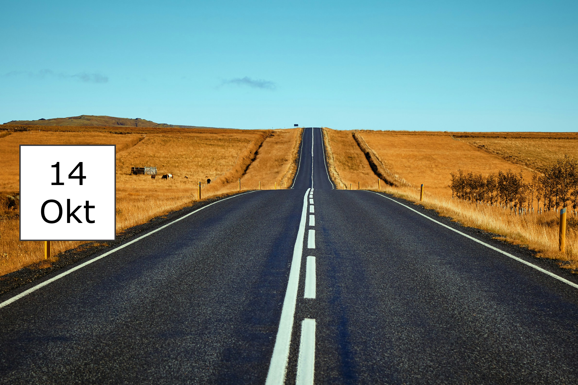 IBsolution Webinar SAP