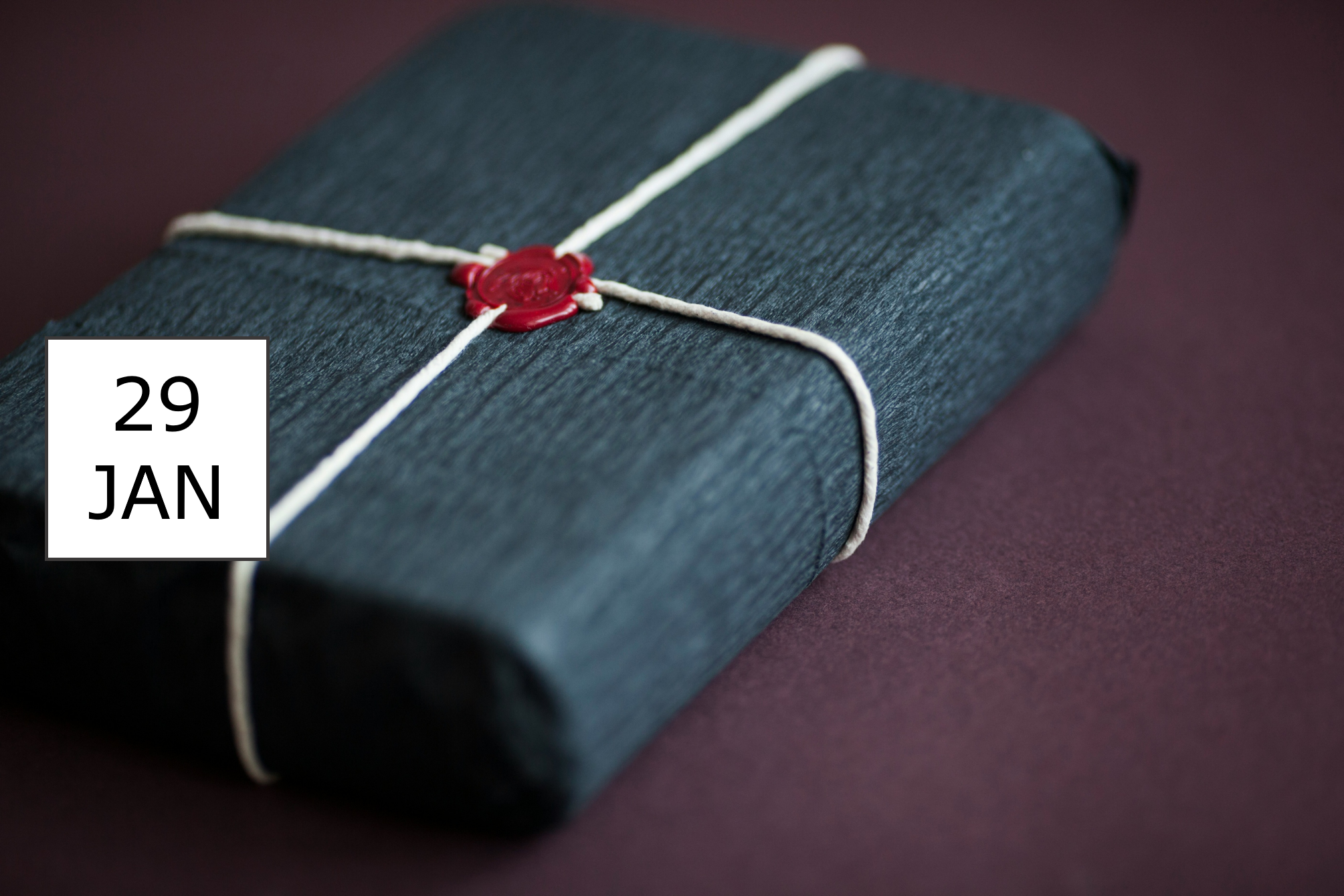 IBsolution Webinar SAP