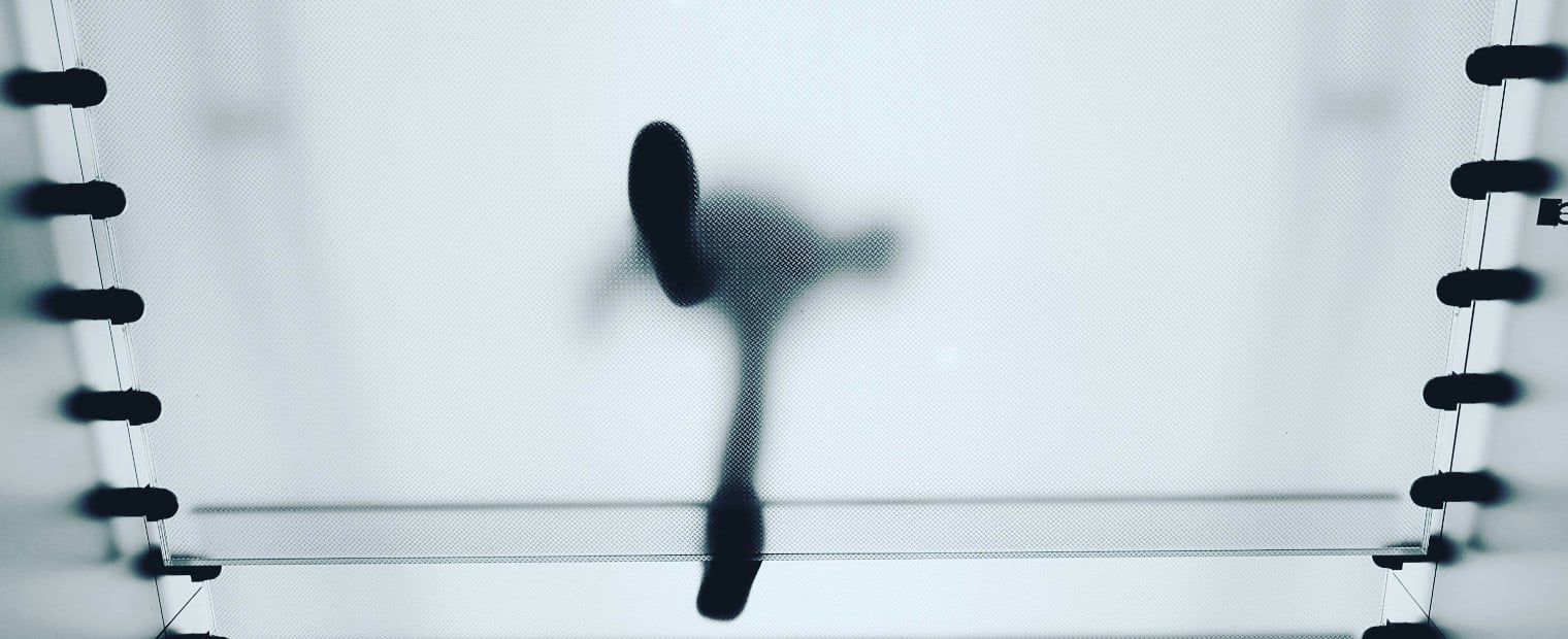 IBsolution Webinar SAP