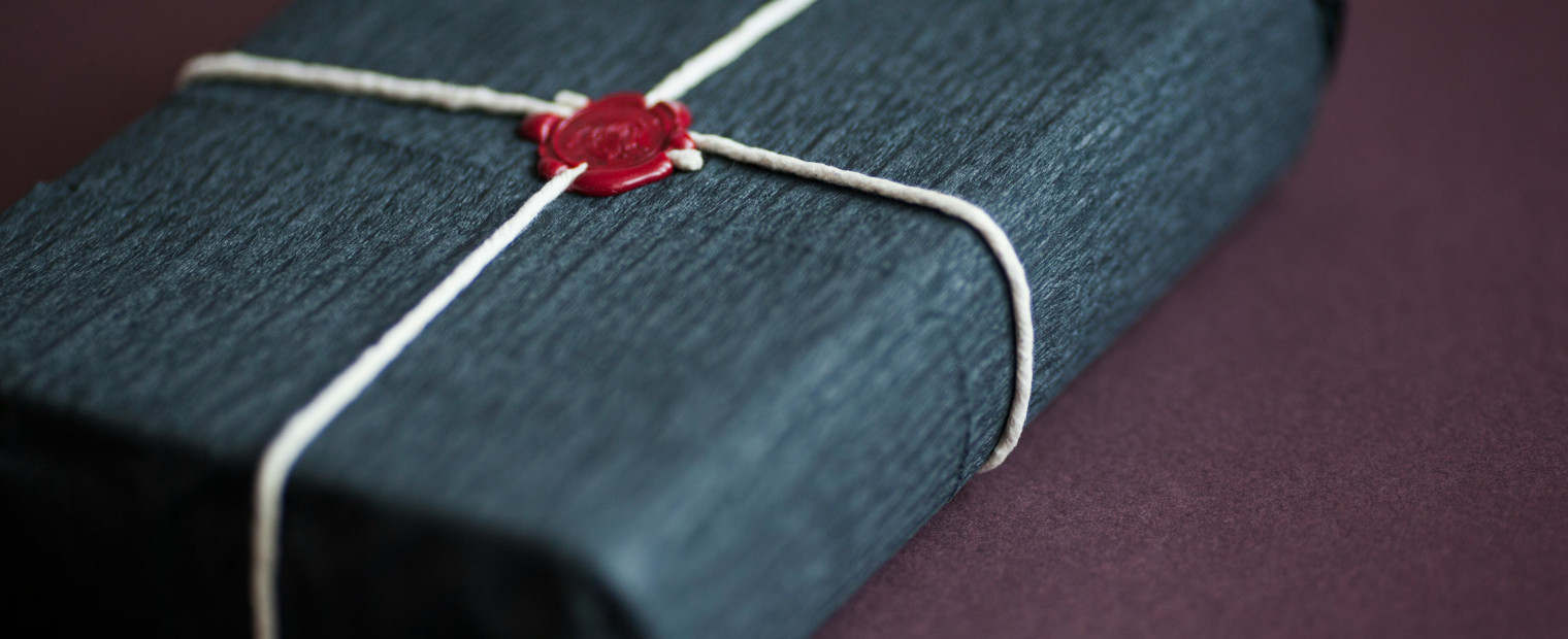 IBsolution Webinar SAP