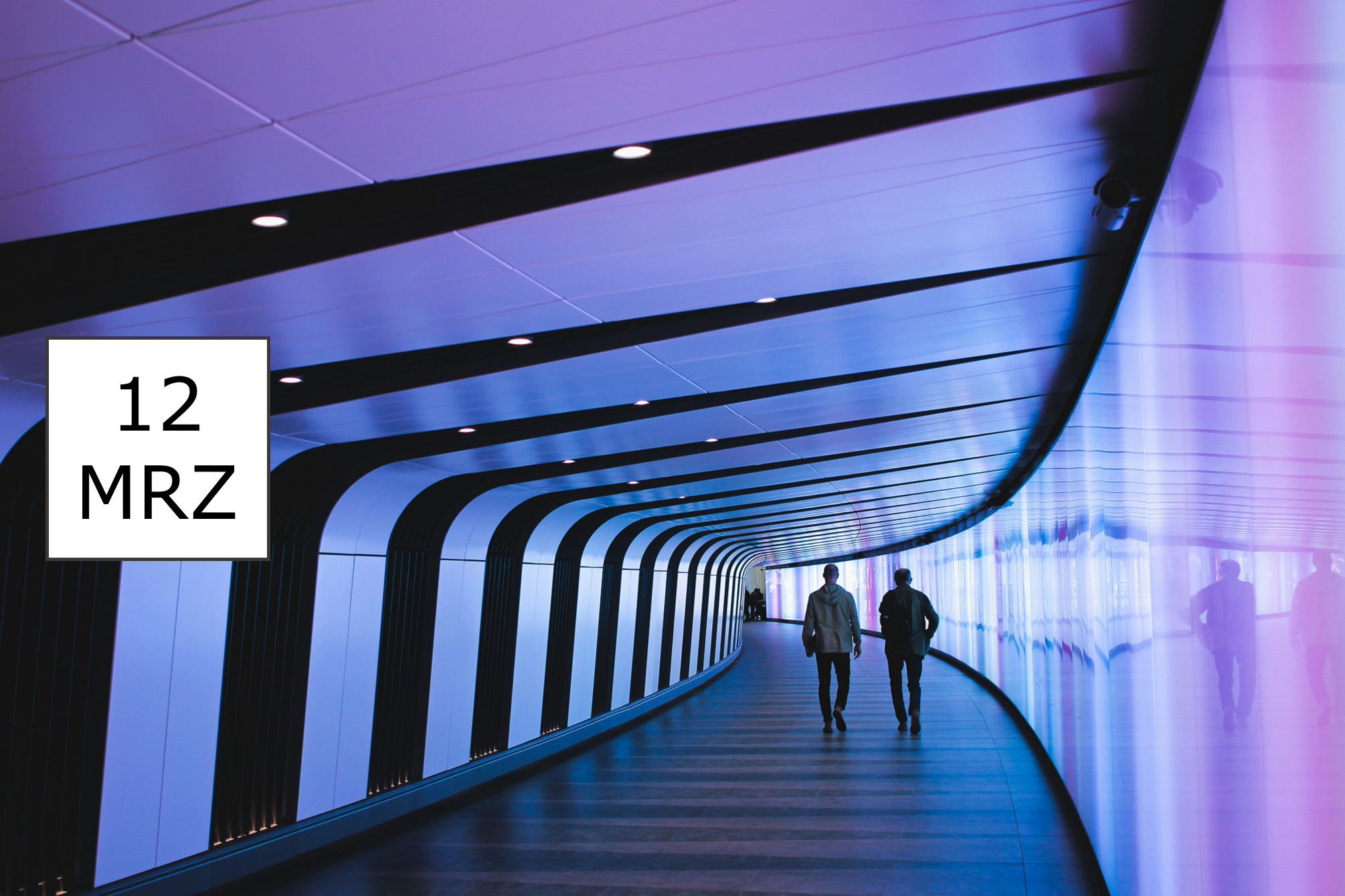 IBsolution Webinar SAP