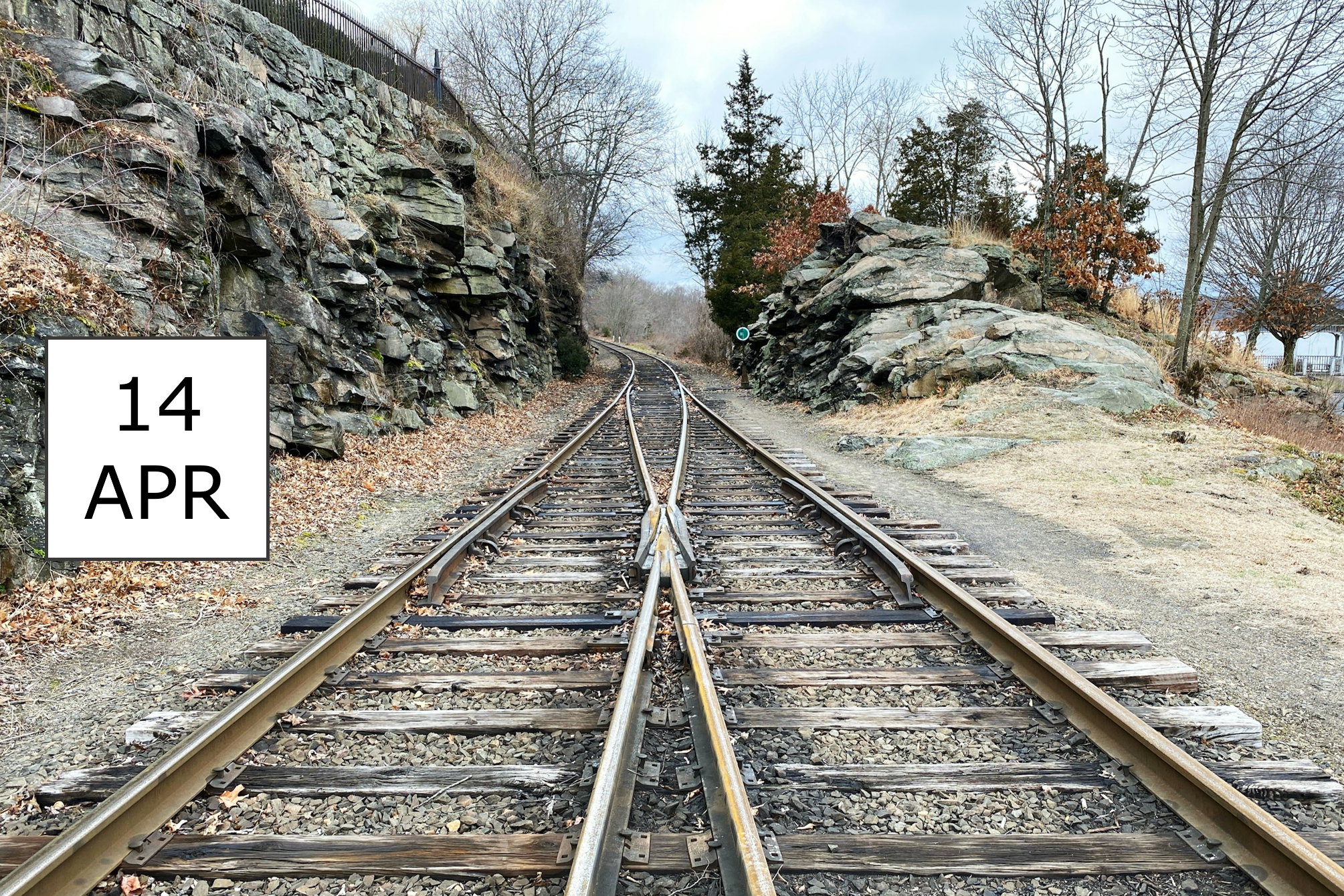 IBsolution Webinar SAP