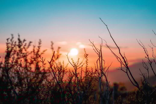 Webinar RISE with SAP | IBsolution